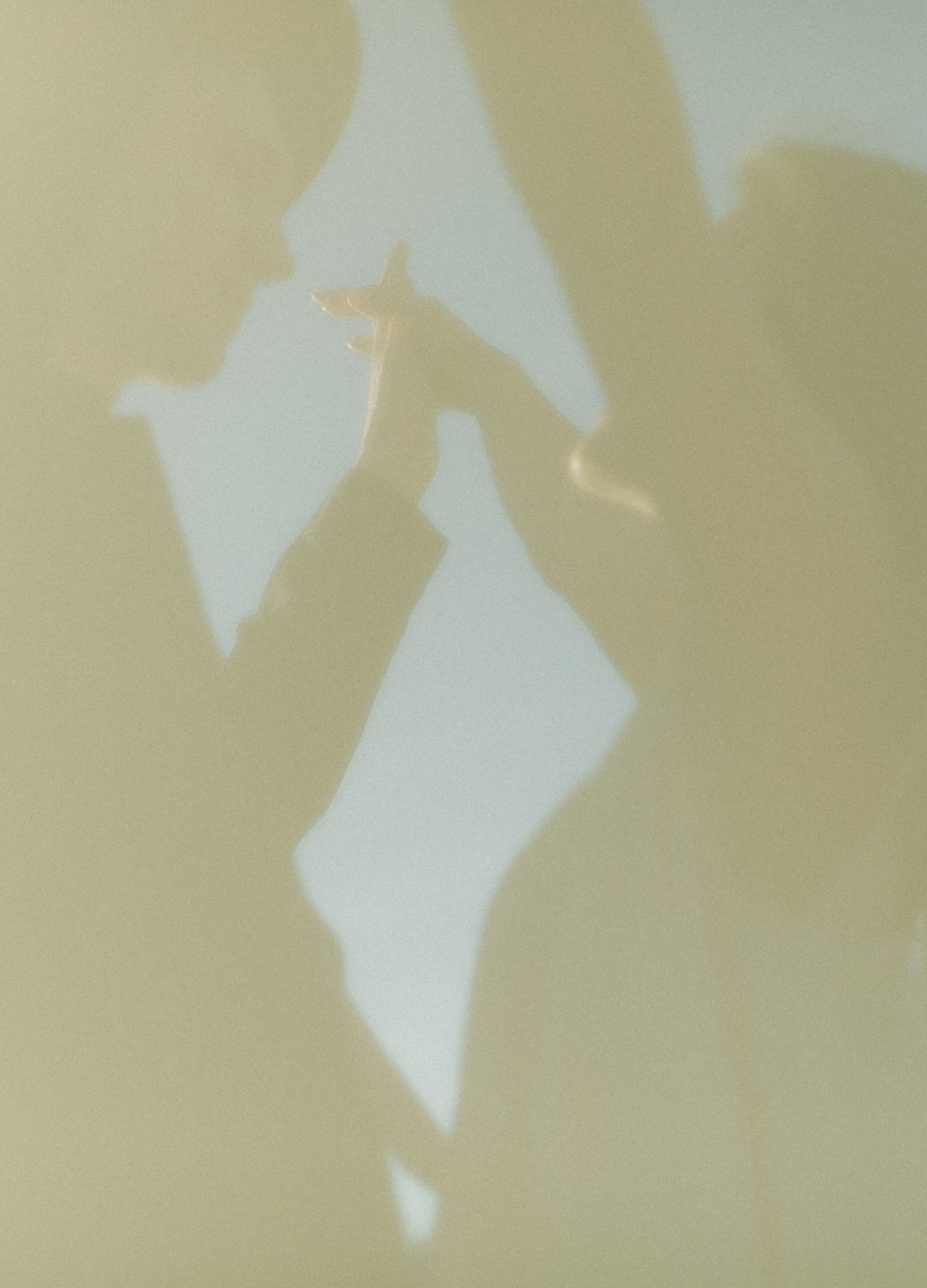The 3 Things in Photography You Have to Master