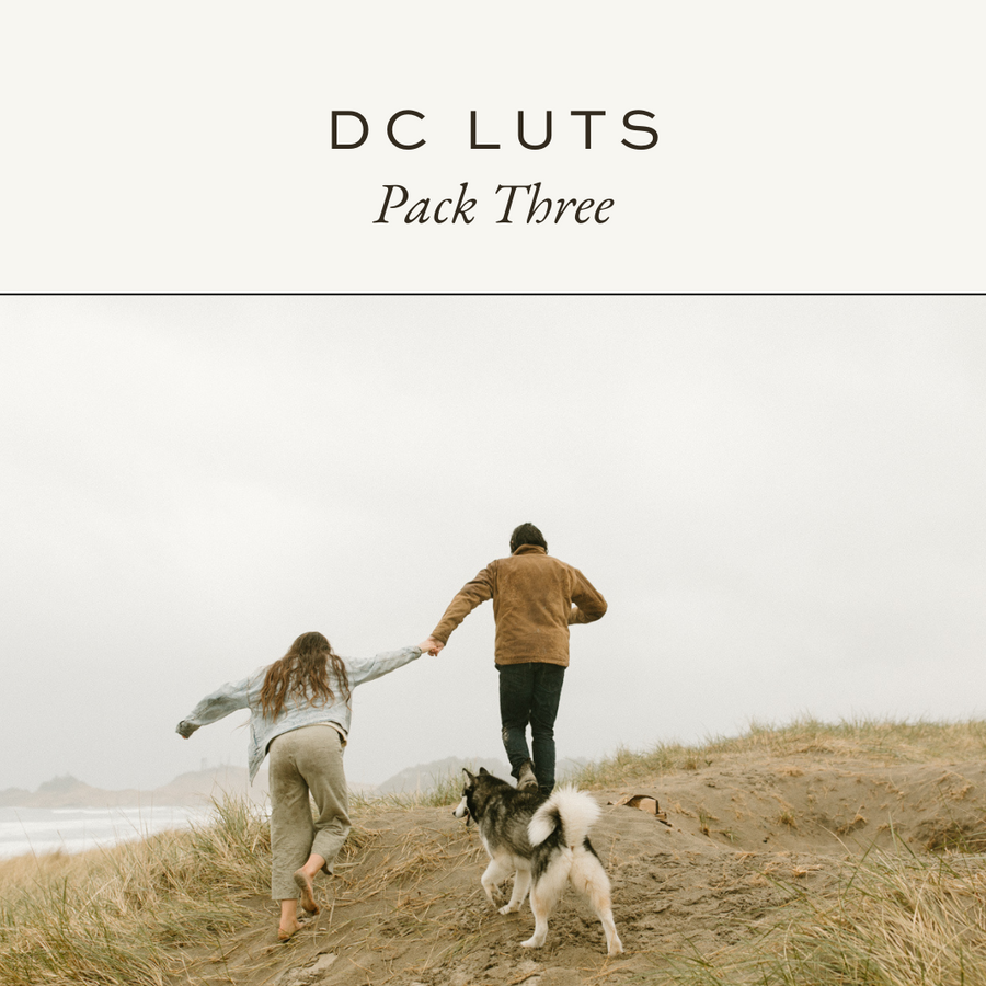 DC LUTs: Pack Three