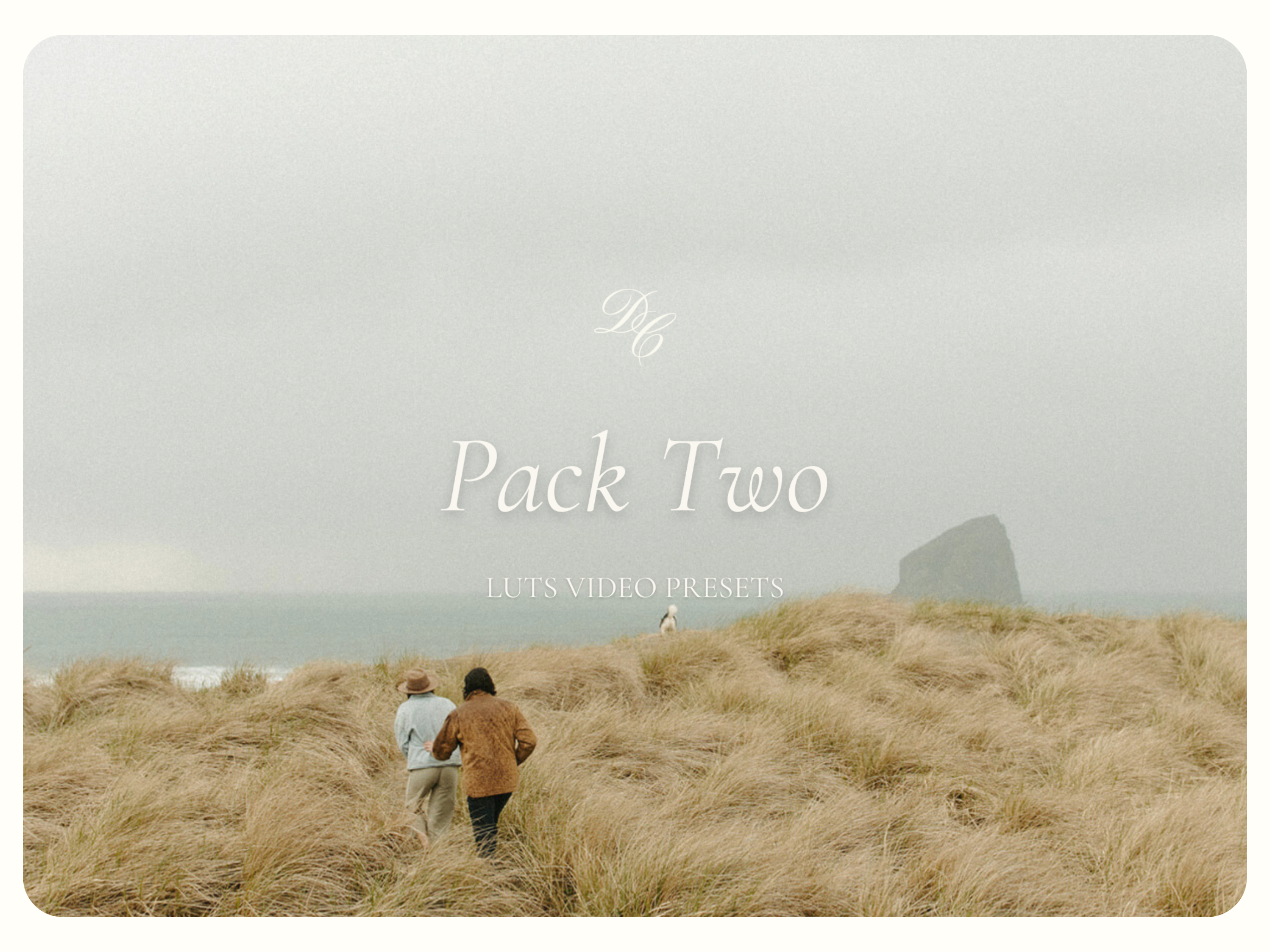 DC LUTs: Pack Two