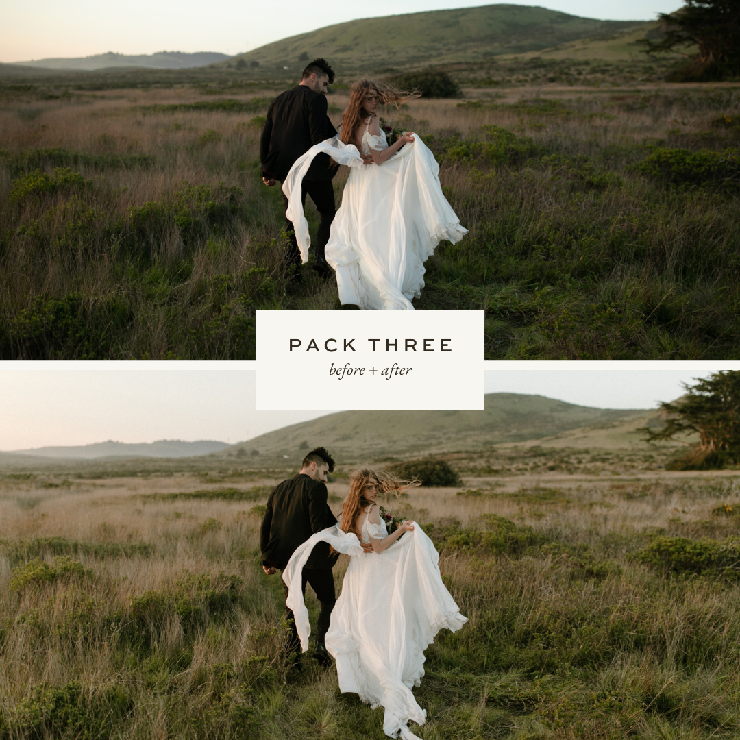 DC LUTs: Pack Three