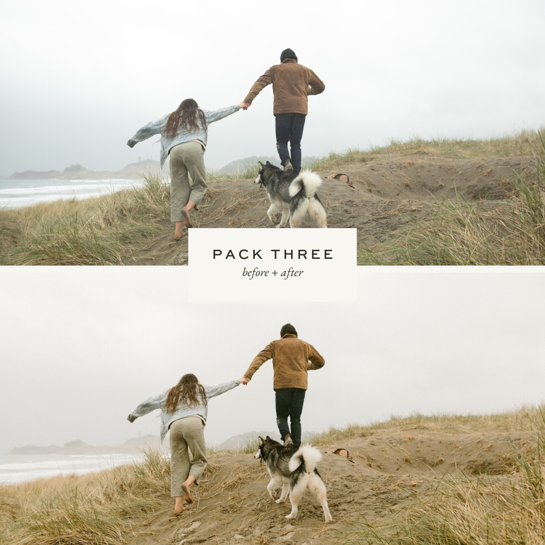 DC LUTs: Pack Three